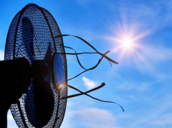 Немного облачно, ветрено и очень жарко будет в Морозовске в пятницу, 23 августа