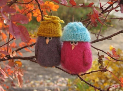 Всего до 10 градусов тепла обещают морозовчанам в четверг