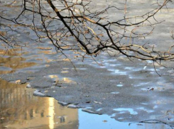 Среда в Морозовске окажется еще теплее: температура воздуха поднимется до +10