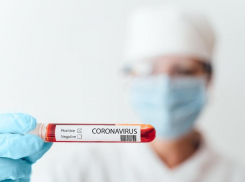 8 сентября: еще семерых заболевших коронавирусом выявили за сутки в Морозовском районе 