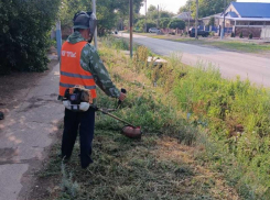 «Только вместе мы сможем сделать город чистым»: в Морозовске активно продолжается покос травы 