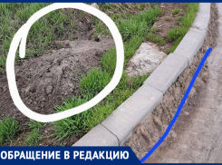 Весь мусор оставляют на обочине! - морозовчанка о чистке дорог после зимы