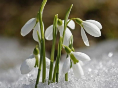 Во-весеннему теплую погоду обещают морозовчанам в праздничный день 23 февраля