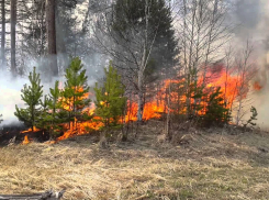 Пожароопасность в Ростовской области снова чрезвычайная