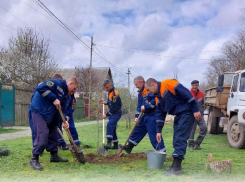 На Коммунистической улице появились новые деревья