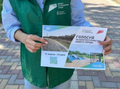 В Ростовской области волонтерами собрано 240 тысяч голосов за объекты благоустройства