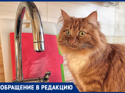 Воды нет ни летом, ни зимой! - житель хутора Вишневка