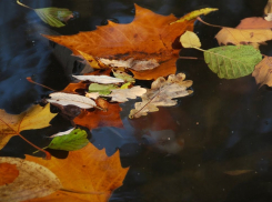 +14 и пасмурно будет в Морозовске во вторник