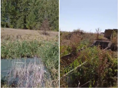 «Надвигается экологическая катастрофа»: жители Морозовска бьют тревогу из-за загрязнения реки Быстрая 