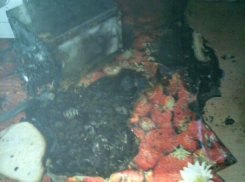 Закрывшие двери жильцы дома в поселке Лесопитомник помешали распространению пожара