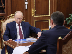 Владимир Путин признал необходимость дополнительных мер поддержки донских сельхозпроизводителей