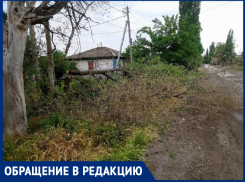 Ветки торчат аж на пол дороги, - морозовчанин о спиленном дереве