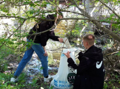 В рамках всероссийской акции «Вода России» в Морозовске от мусора очистили 250 метров береговой линии