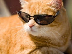 Лето в Морозовске начало сдавать свои позиции