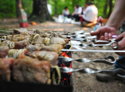 Рекомендации по выбору мяса для шашлыка дали специалисты Роспотребнадзора по Ростовской области