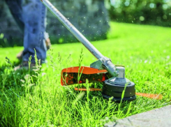 За нескошенную траву дончане могут заплатить штраф от 3 до 70 тысяч рублей