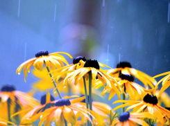 Небольшой дождь ожидается в Морозовске в понедельник