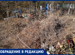 Ужас творится на Южном кладбище! - морозовчанка