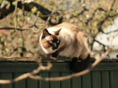 Переменную облачность и до 19 градусов тепла обещают синоптики в среду