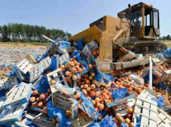 Увеличилось количество стран, продукцию из которых будут уничтожать