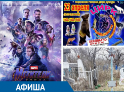 Долгожданная премьера современного циркового спектакля в Морозовске состоится уже сегодня