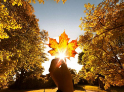 Воскресенье порадует морозовчан теплой и ясной погодой