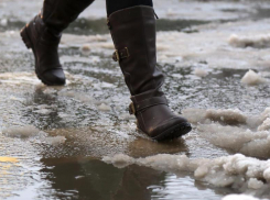 Пятница в Морозовске будет ветреной и относительно теплой
