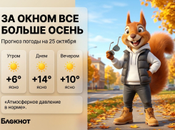 За окном все больше осень: прогноз погоды на 25 октября
