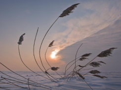 Потепление до +1 градуса ожидается в Морозовске в субботу, 29 января