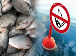 Рыбакам Морозовского района сообщили о новых правилах ловли