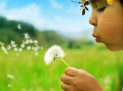 Воскресенье для морозовчан станет довольно прохладным