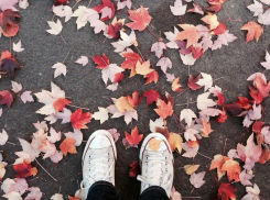 Похолодание до +9 ожидается в Морозовском районе 7 ноября