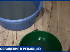 «Собрали 12 ведер зловонной жижи!» - морозовчанка возмутилась бездействием управляющей компании