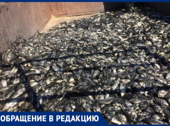 Жители хутора Александров в Морозовском районе спасли 11 тонн рыбы из пересыхающего пруда, нужна срочная помощь