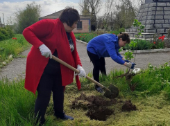 Работники Вольно-Донского СДК присоединились к патриотической акции «Сад памяти»