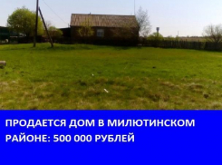 Большой дом на участке 20 соток продается в Милютинском районе