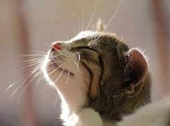 Морозное и солнечное утро встретят морозовчане 28 ноября