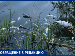 Детям теперь уж точно и искупаться негде! - жительницу хутора Костино-Быстрянский возмутило то, что она увидела на «плотине»