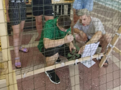 Дети в хуторе Грузинов присоединились к плетению маскировочных сетей для участников СВО