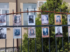 «Бессмертный полк» в школе №1 в Морозовске организовали в необычном формате