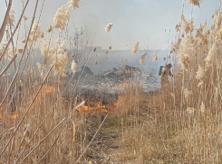 В Морозовском районе продолжается действие запрета на выжигание сухой растительности и мусора 