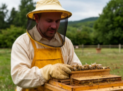 Пчёлам - защиту, аграриям - обязанность: новые правила ударят по старым привычкам в Морозовском районе