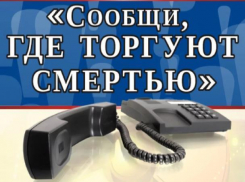 Акция «Сообщи, где торгуют смертью» снова началась в Морозовске