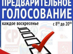 «Блокнот» запускает предварительное голосование перед выборами в Госдуму