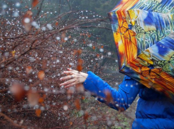 Воскресный день в Морозовске окажется пасмурным, но достаточно теплым