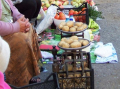 Штрафные санкции за торговлю в неустановленных местах стали еще жестче