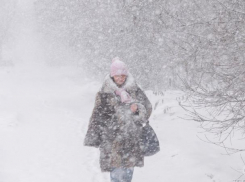 Настоящая метель ожидает морозовчан в последний день уходящей недели