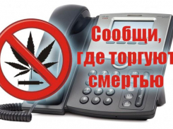 Антинаркотическая акция «Сообщи, где торгуют смертью!» стартует на Дону 13 марта