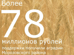 Более 78 миллионов рублей субсидий получили аграрии Морозовского района в 2022 году