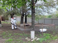 Командно-штабные учения по ликвидации очага сибирской язвы животных прошли в Морозовском районе